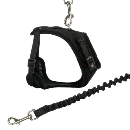 Cat Mesh Y Harness With Lead 22 To 42 Cm