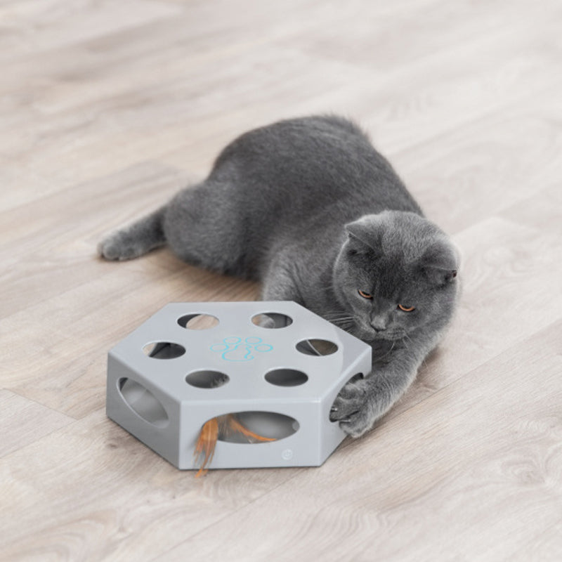 trixie interactive cat toy with feather